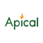 Lowongan Kerja Apical Group Ltd